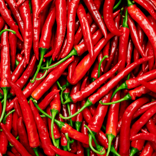 Chili in Cremes und Ölen – So wirkt die Kraft der Schärfe